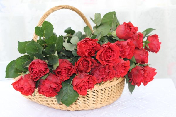 Цветы для Машеньки