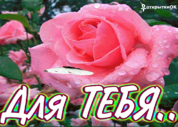 Цветы для Марии в день рождения