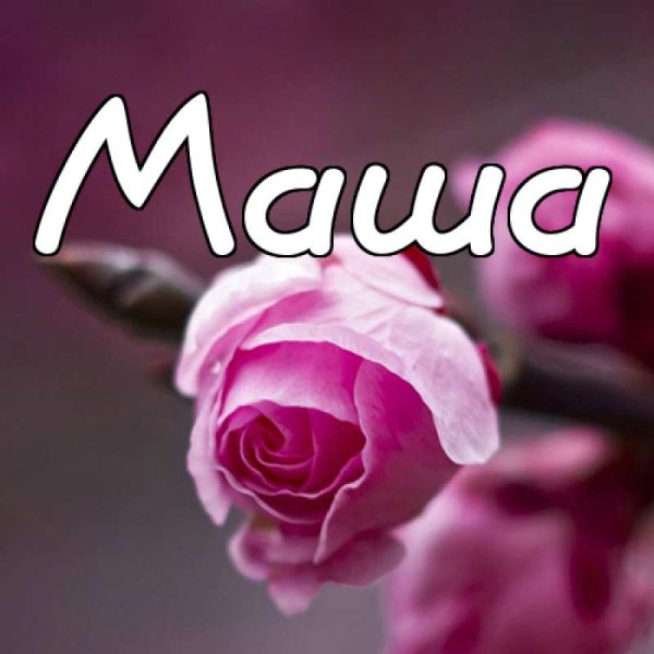 Улыбнись это тебе цветы