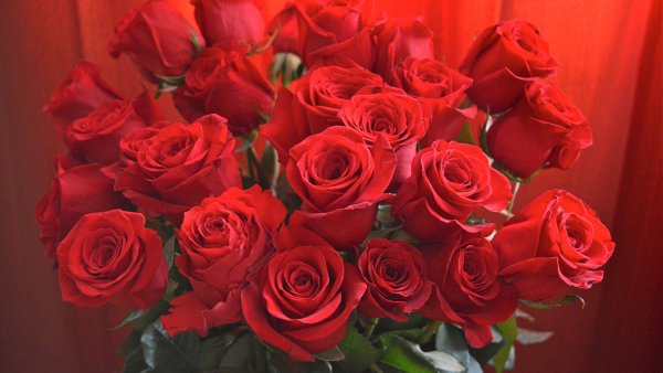 С днём рождения Мария