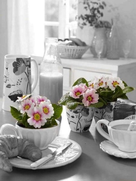 Красивый завтрак с цветами