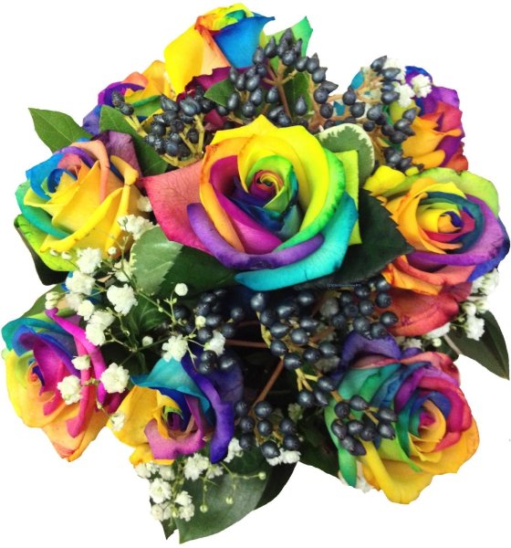 Разноцветные цветы