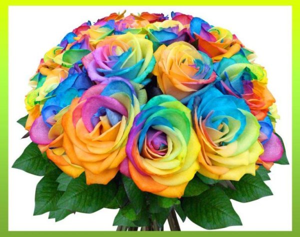 Красивый разноцветный букет