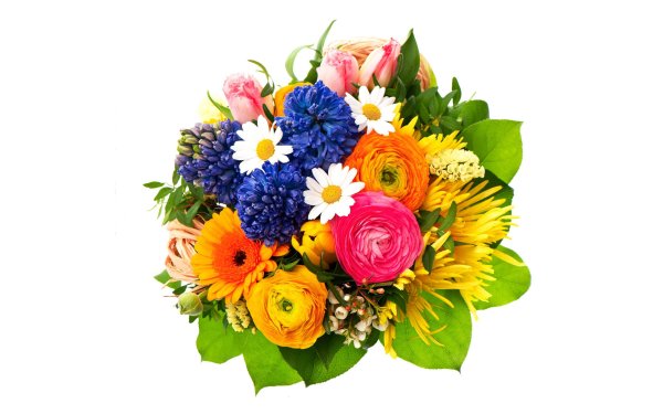 Букет цветов