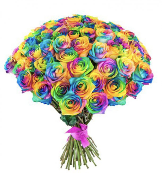 Эквадорская Радужная роза