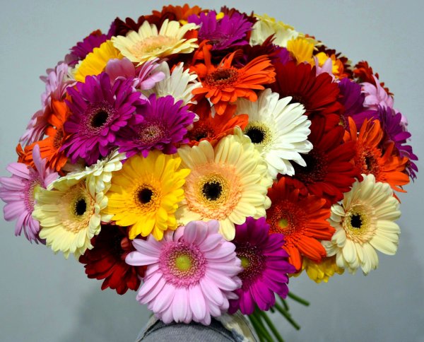 Букет с разными цветами