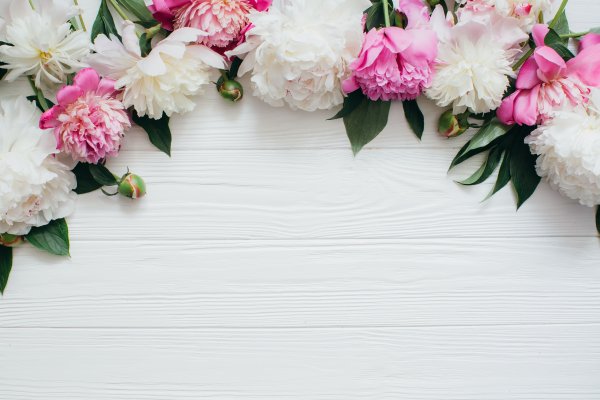 Фотофон с цветами