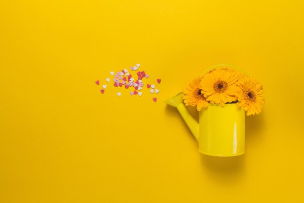Цветы на желтом фоне