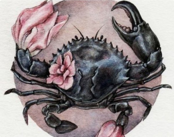 Краб милый тату