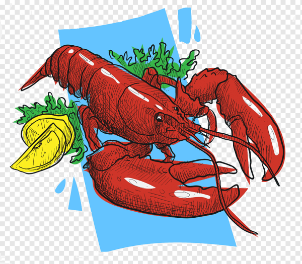 Рисунок лобстера