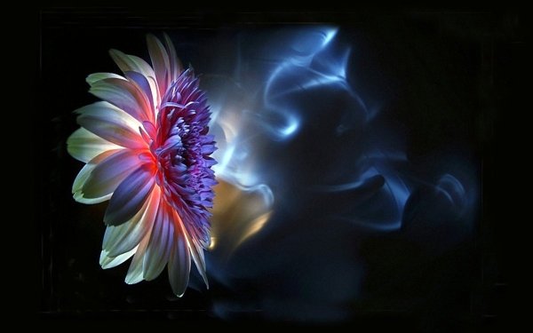 Самый мистический цвет