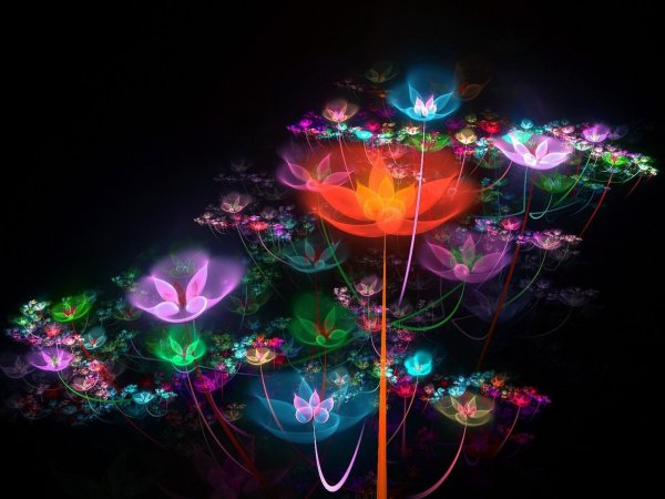 Волшебный цветок