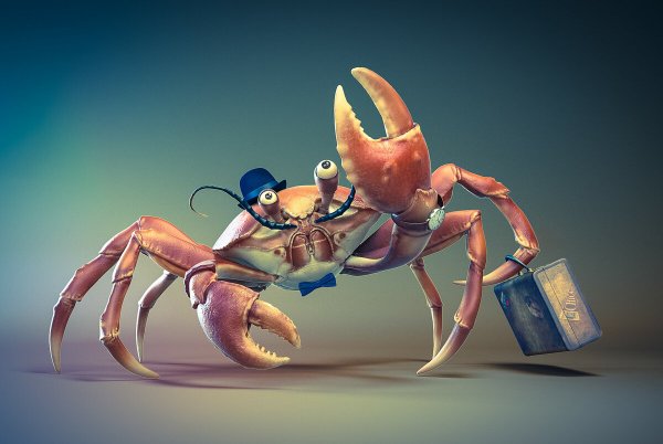 Крутой краб