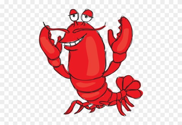 Astacus Leptodactylus