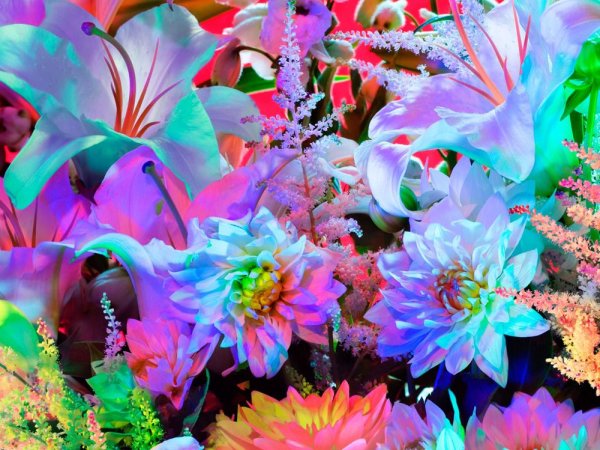 Магические цветы