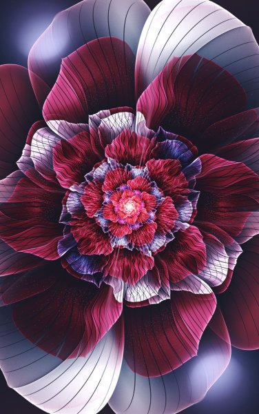 Цветы абстракция