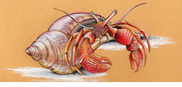 Рак, набор для вышивания