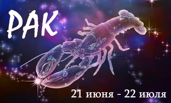 Слоган к слову креветка