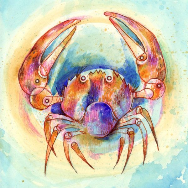 Лобстер хитин