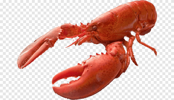 Краб мультяшный красивый