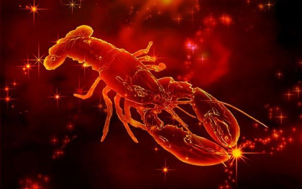 Речные рачки