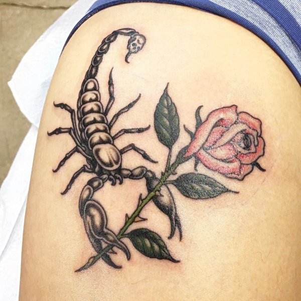 Красивые мандалы для раскрашивания по гороскопу