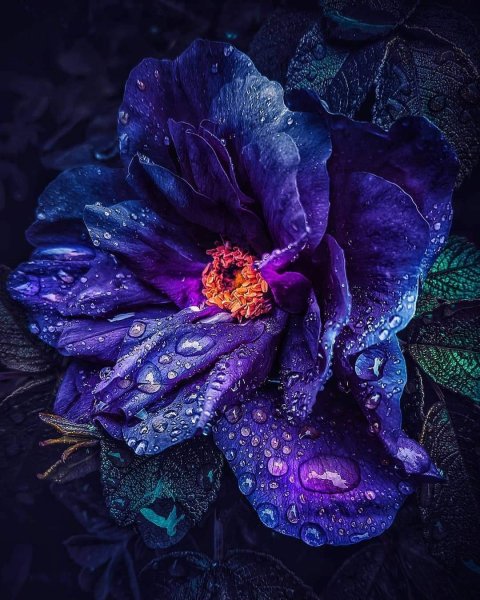 Фантастические цветы