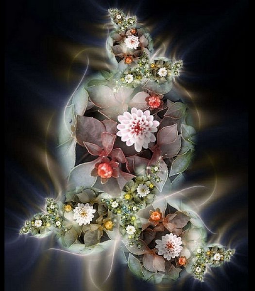 Красивые бабочки