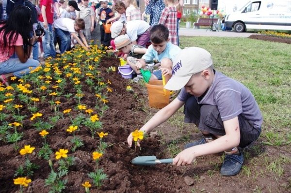 Школьники сажают цветы