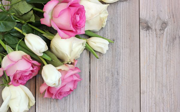 Поздравления с днём рождения сестре