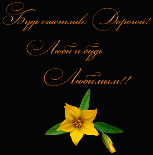 Поздравление сестре с днем рождения брата