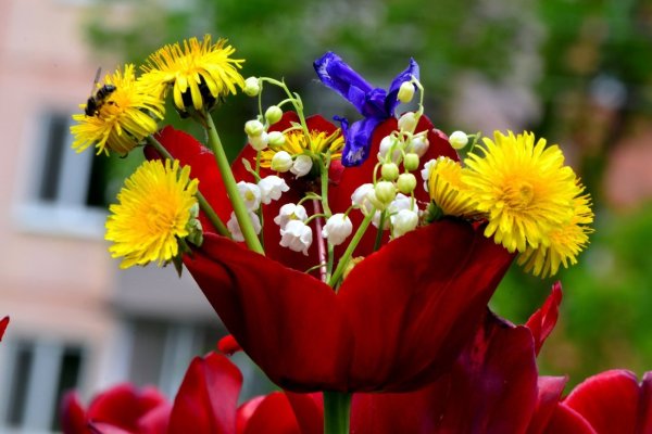 Майский букет цветов