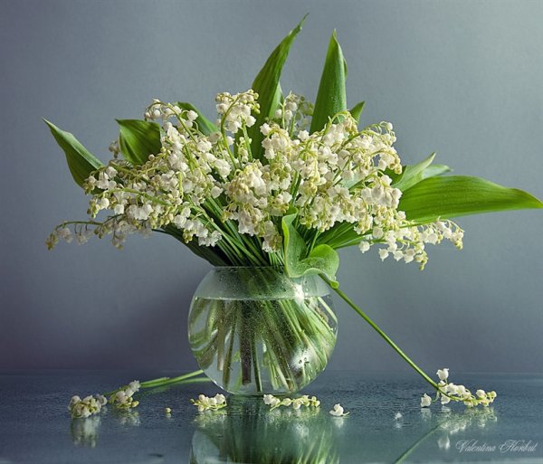 Ландыш Майский букетик