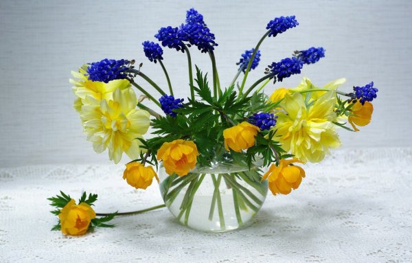 Незабудка тюльпан нарциссы