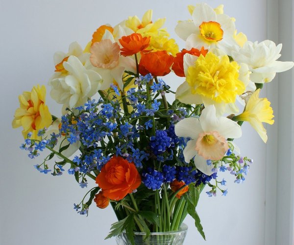 Нарциссы букет