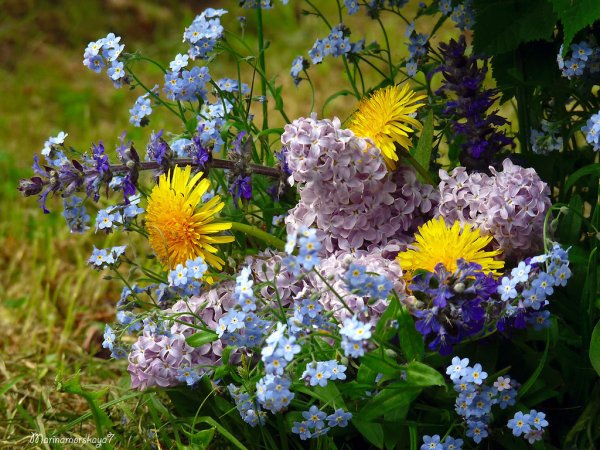 Майские цветы букет