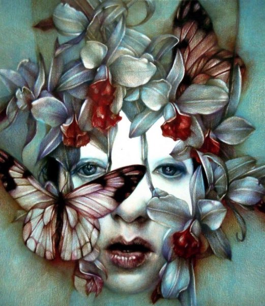 Кальцеолярия одноцветковая