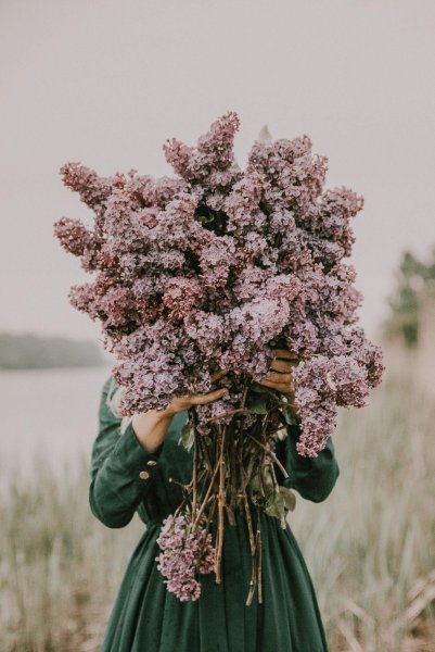 Художник Кароль бак картины