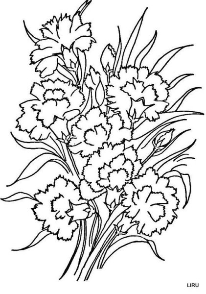 9 Мая раскраска