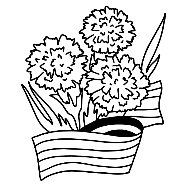 Гвоздика Борбаша нарисова