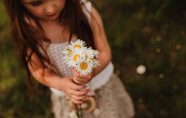 Ромашки на аву