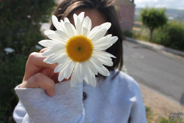 Ромашка в руке на фоне неба