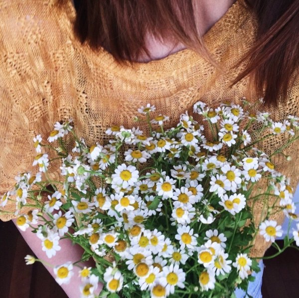 Букет ромашек в руках