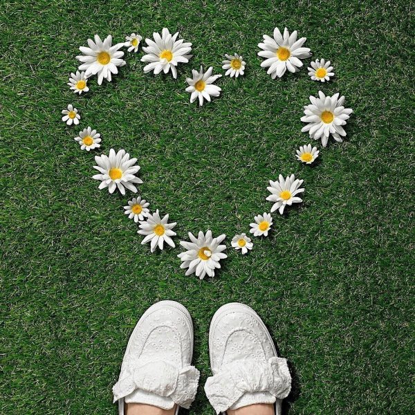 Ромашки Эстетика