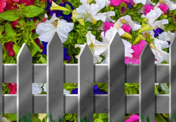 Белый забор с цветами