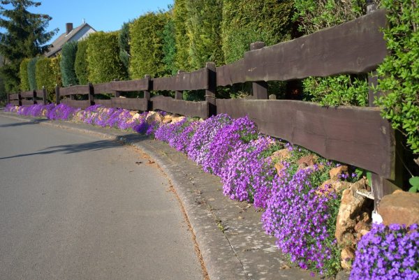 Красное Знамя Победы над Рейхстагом