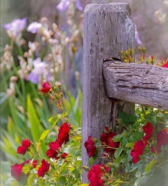 Рисунок на стене во дворе