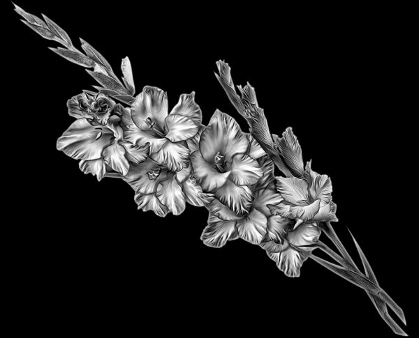 Цветы для гравировки