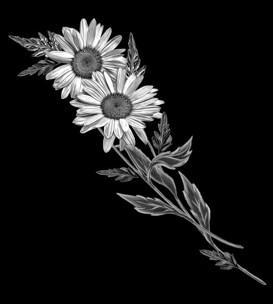 Ромашки гравировка