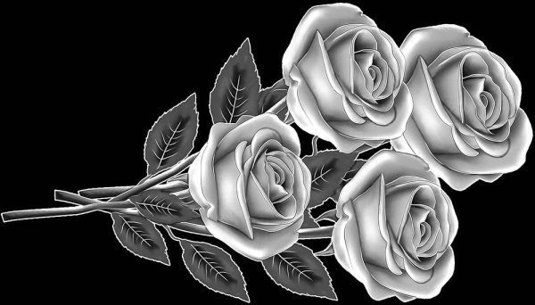 Розы для гравировки на памятниках